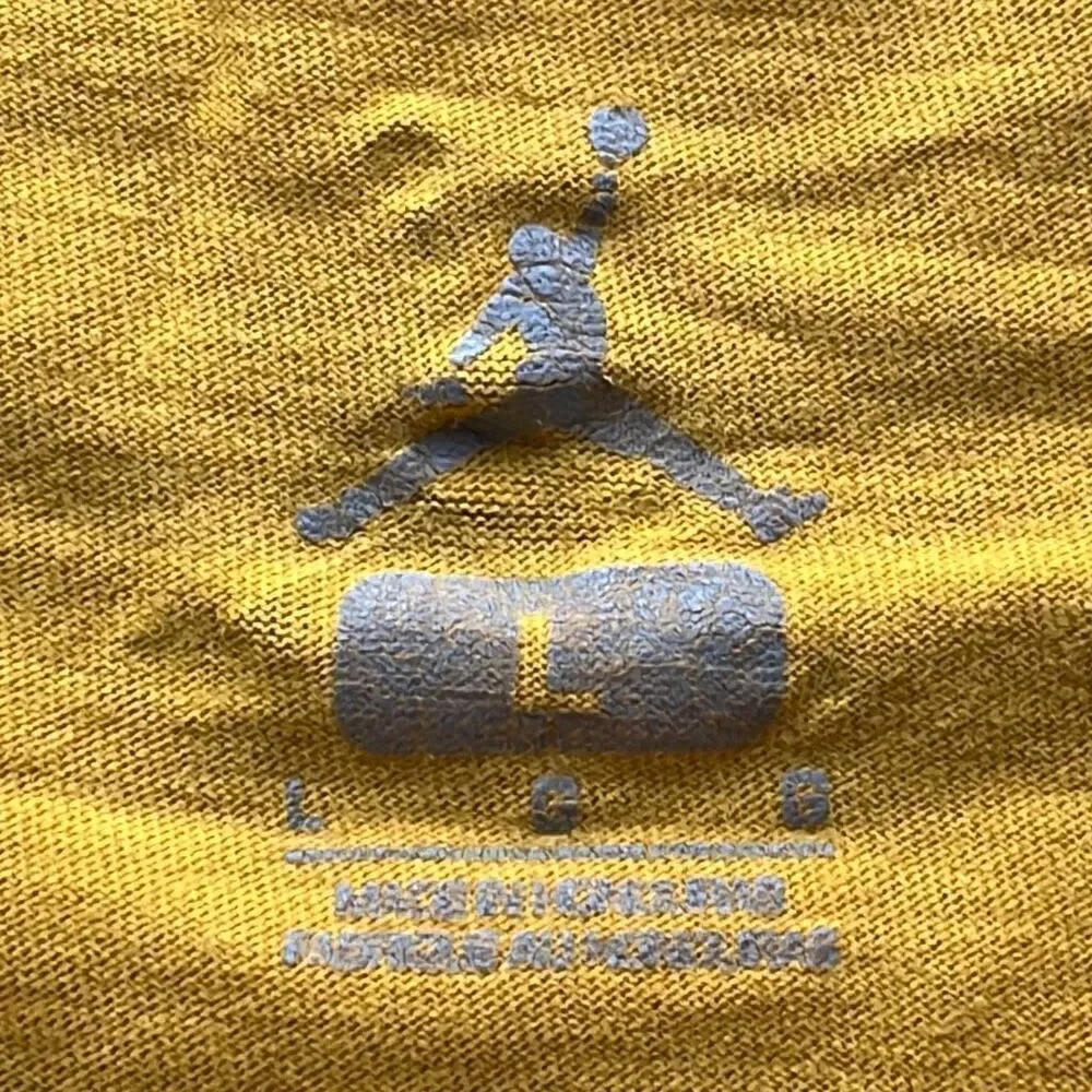 Air Jordan Logo T Fits Mens M